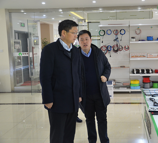 肥东县委副书记,县长孙良鸿一行慰问并调研安徽环瑞