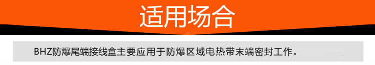 电热带尾端介绍