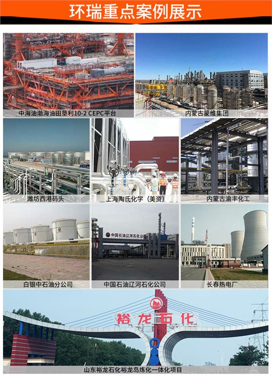 环瑞重点案例展示