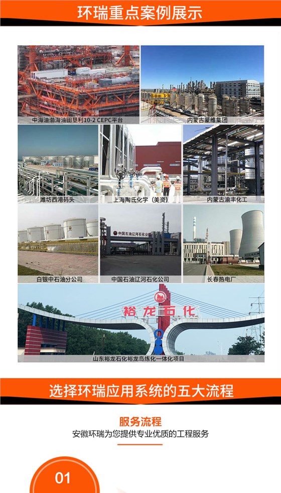 环瑞重点案例展示-仪表
