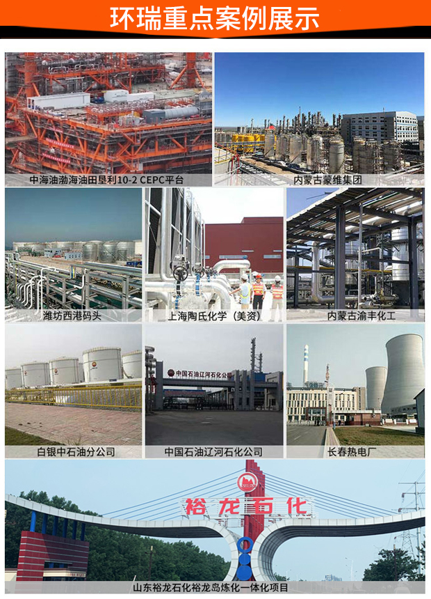 环瑞重点案例展示